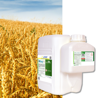 ROXY 800 + DIFLANIL SD - Image 1