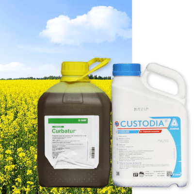 CURBATUR + CUSTODIA - Image 1