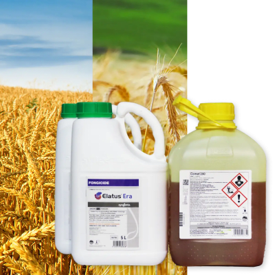 ELATUS ERA + COMET 200 - Image 1