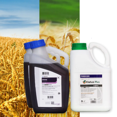 ELATUS STAR 3 VOIES - Image 1