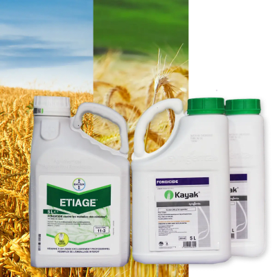 KAYAK + ETIAGE - Image 1