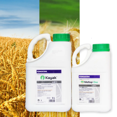 KAYAK + MELTOP ONE - Image 1