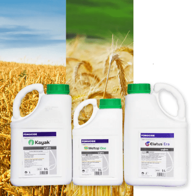 KAYAK + MELTOP ONE + ELATUS ERA - Image 1