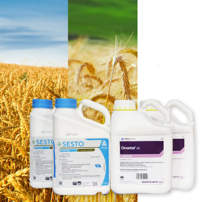 OROSTAR 60 + SESTO - Image 1