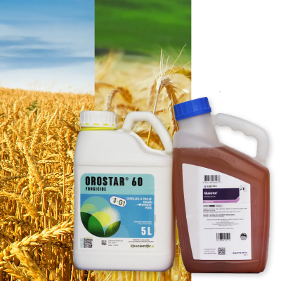 OROSTAR 60 + QUESTAR - Image 1