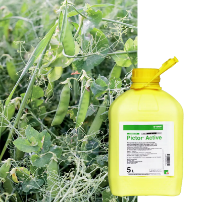 PICTOR ACTIVE - Image 1