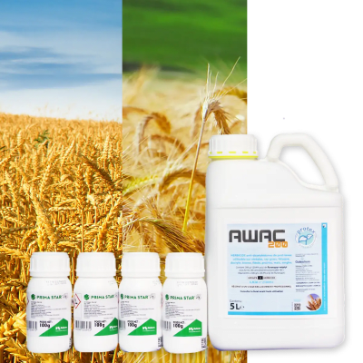 PRIMA PLUS + AWAC - Image 1