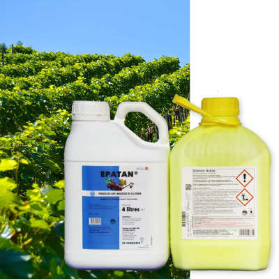 SEA EPATAN - Image 1