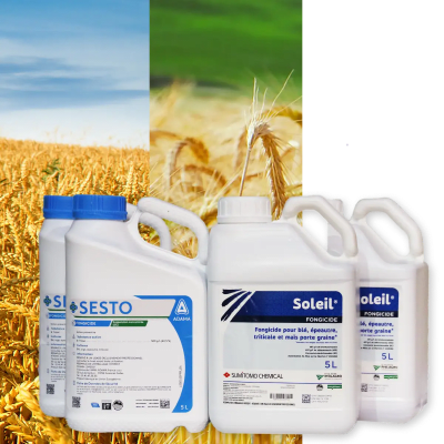 SOLEIL  + SESTO - Image 1