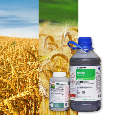 TEKKEN + SYNOPSIS - Image 1