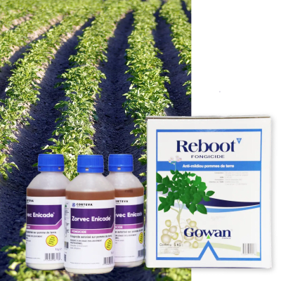 ZORVEC ENICADE NBOOT - Image 1