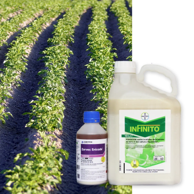 ZORVEC ENICADE NTO - Image 1