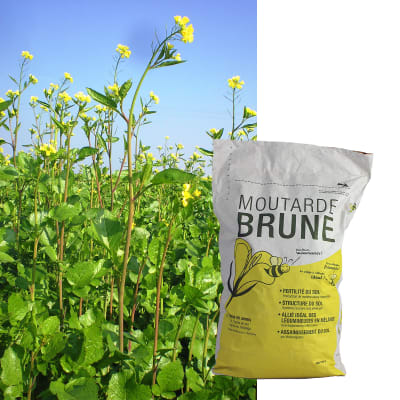 ETAMINE BIO - Image 1