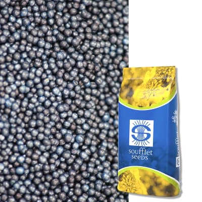 PLAYMAKER PROTECT - Image 1