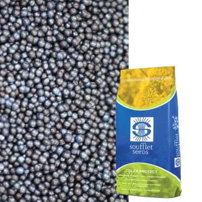 KOUROS PROTECT - Image 1