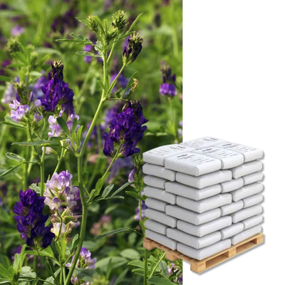  ARTEMIS RHIZO BIO - Image 1