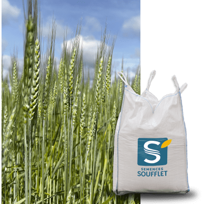 ENERGO BIO - Image 1