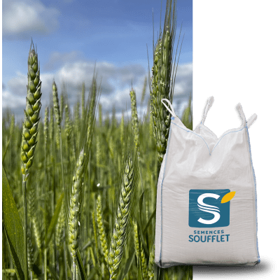 MS 2026 BIO - Image 1