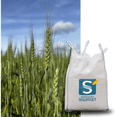 WINNER BIO - Image 1