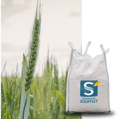 LG AGRIATE - Image 1