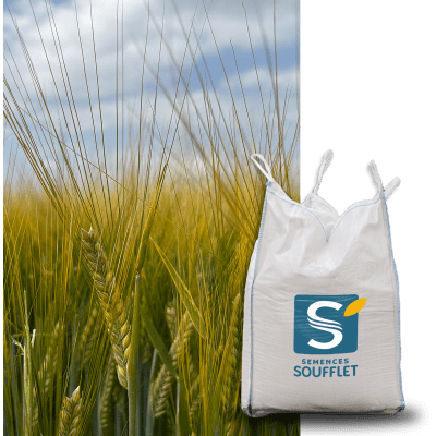 LG ALLEGRO - Image 1