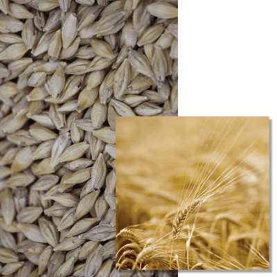 KWS INNOVATRIS - Image 1