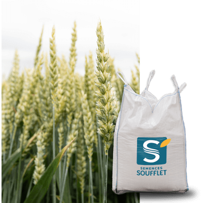 LG ABSALON - Image 1