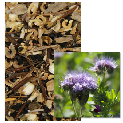 MELLI FLEURS - Image 1