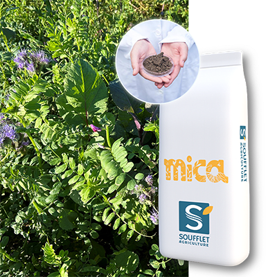 PACK MICA DS POLYVALENT + ANALYSE MICROBIO - Image 1