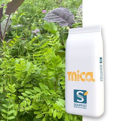 MICA DS POLYVALENT - Image 1