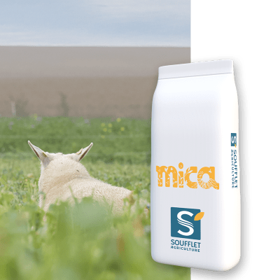 MICA PG PATURABLE - Image 1