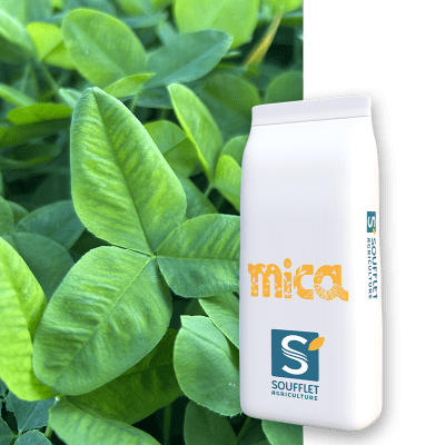 MICA PG ESSENTIEL - Image 1