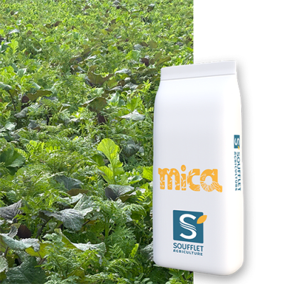 MICA PG POLYVALENT PURPLE - Image 1