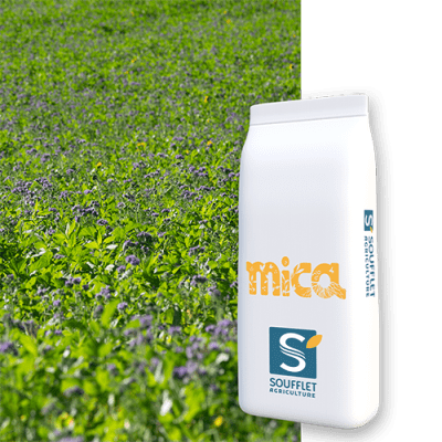 MICA PG POLYVALENT VITTASSO - Image 1