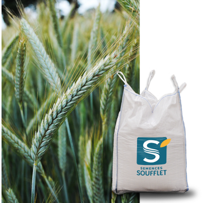 RGT QUATERBAC - Image 1