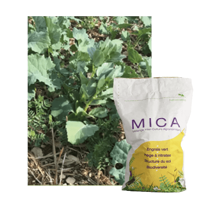 MICACOLZA PLUS - Image 1