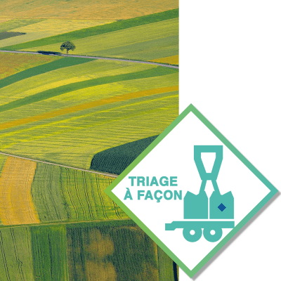 Prestation Triage PROTEAGINEUX - Image 1