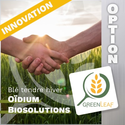 GREENLEAF BLE TENDRE HIVER + OPTION OIDIUM ET BIOSOLUTIONS - Image 1