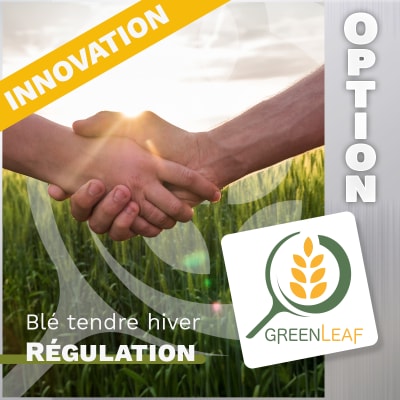 GREENLEAF BLE TENDRE HIVER + OPTION REGULATEUR - Image 1
