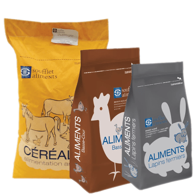 MAIS FLOCONNE - Image 1