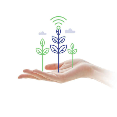 Prestation TAF BLE DUR - Image 1