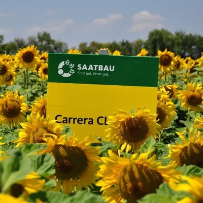 CARRERA CLP - Image 1