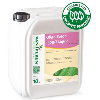 Oligo Bore - Image 1