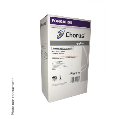 CHORUS - Image 2