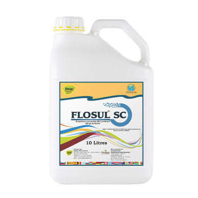FLOSUL - Image 1