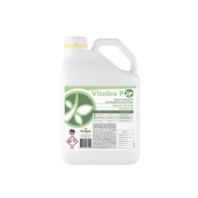 VITELICE P - Image 1