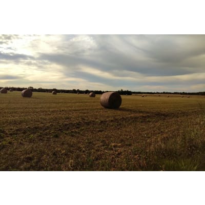 MAXXNET Filet Round Baler - Image 4