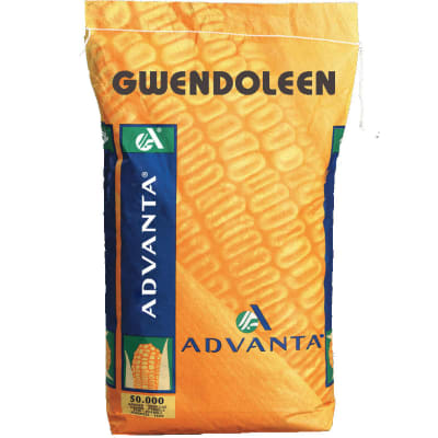 GWENDOLEEN - Image 1