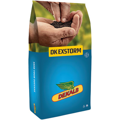 DK EXSTORM - Image 1