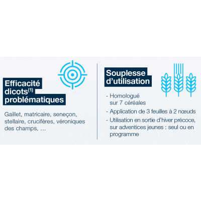 ABSOLU PRO - Image 4